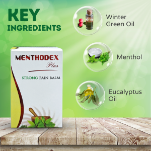 Menthodex Plus Strong Balm 10 gm